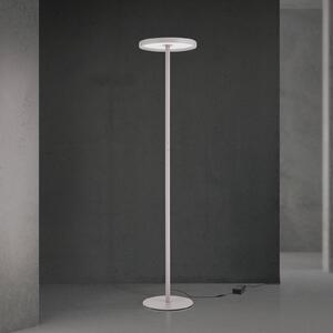 ORION Lampada da terra con luce lettura KANT, dimmerabile, Verde, Soggiorno / Sala da pranzo, Moderno, Lampada da terra