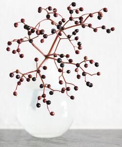 Fotografia Vase berries, Studio Collection