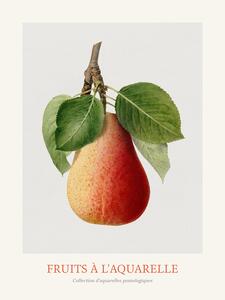 Riproduzione Pear Watercolour Kitchen Fruit