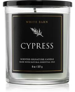 Bath & Body Works Cypress candela profumata 227 g
