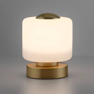 Paul Neuhaus Lampada LED tavolo Bota, dimming, ottone satinato