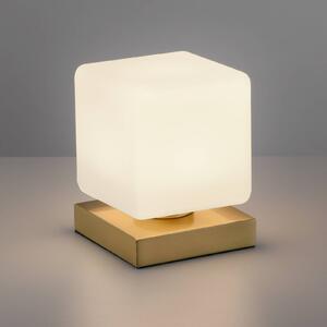 Paul Neuhaus Lampada LED tavolo Dadoa, dimming, ottone satinato
