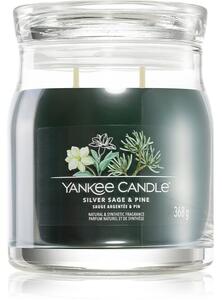 Yankee Candle Silver Sage & Pine candela profumata Signature 368 g