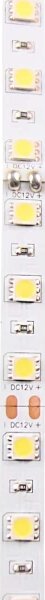 Striscia LED 5m 28W/12V IP20 6500K