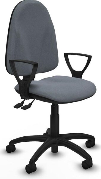 Sedia da ufficio Algarra Piqueras y Crespo BFN01RN Grigio