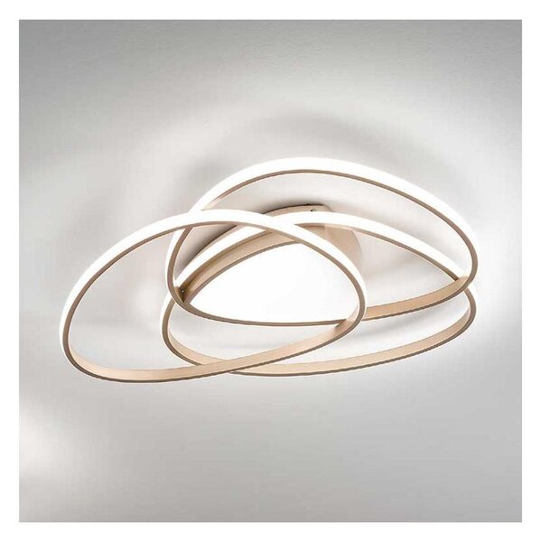 Ondaluce - Plafoniera da soffitto LED dimmerabile ROSE LED/60W/230V 50x54 cm dorata