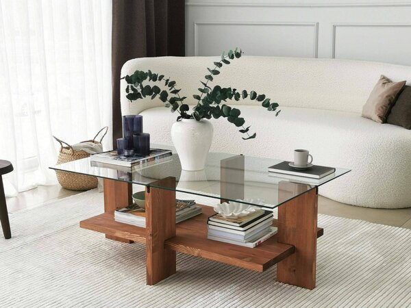 Tavolino da Salotto Marrone Noce Portariviste un Vano 105x60x40h cm, Forma Rettangolare - Tomiri