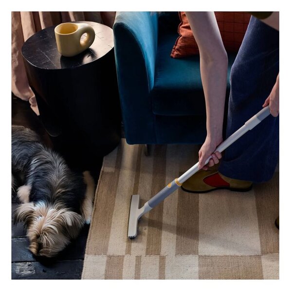 Joseph Joseph CleanTech Kit Pulizia Tappeti e Peli Animali Domestici