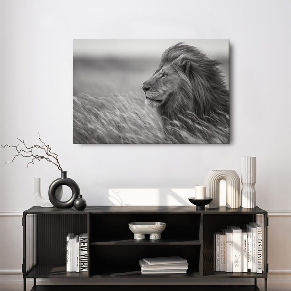 Quadro su tela – Re della savana nell'erba