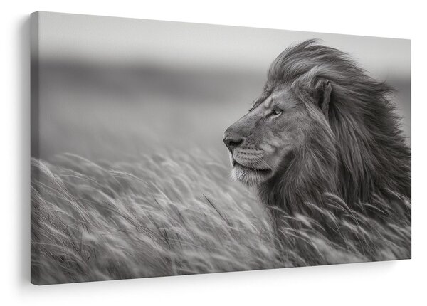 Quadro su tela – Re della savana nell'erba