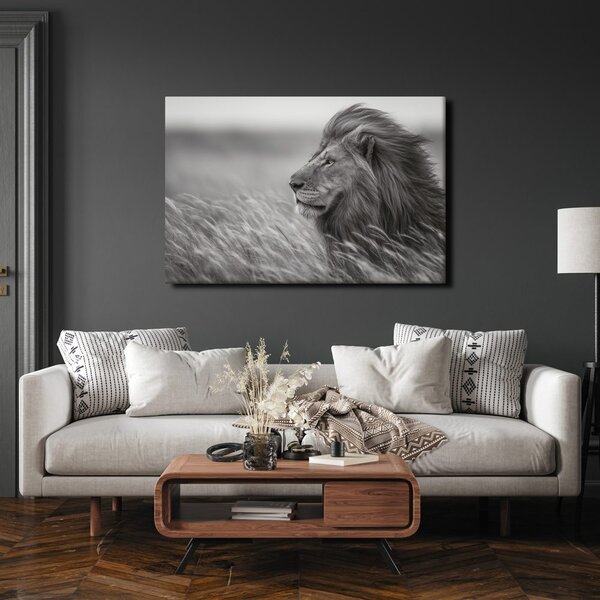 Quadro su tela – Re della savana nell'erba