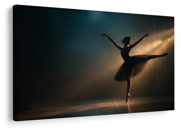 Quadro su tela – Ballerina sotto i riflettori