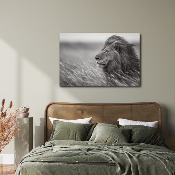 Quadro su tela – Re della savana nell'erba