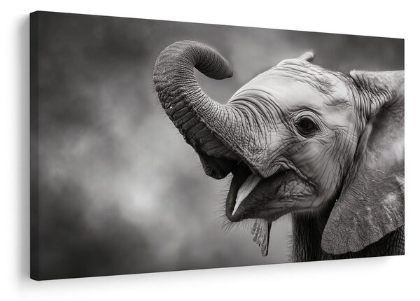 Quadro su tela – Cucciolo di elefante in bianco e nero