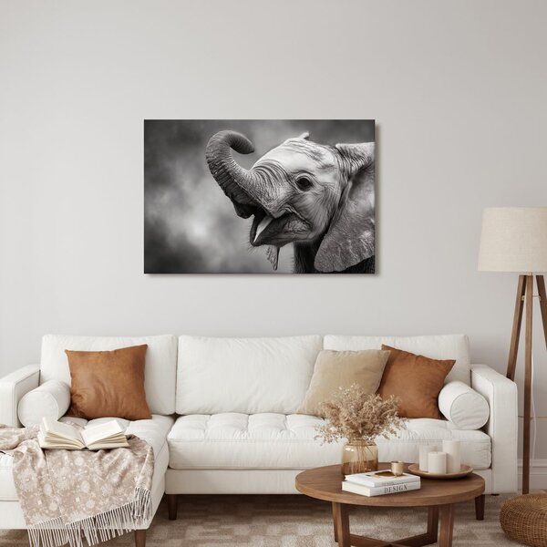 Quadro su tela – Cucciolo di elefante in bianco e nero