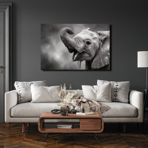 Quadro su tela – Cucciolo di elefante in bianco e nero