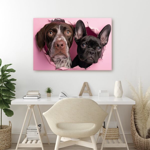 Quadro su tela – Curiosità canina in rosa