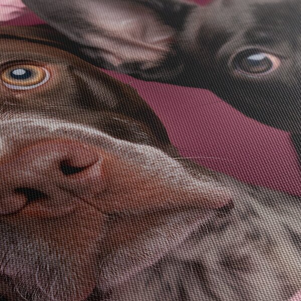 Quadro su tela – Curiosità canina in rosa