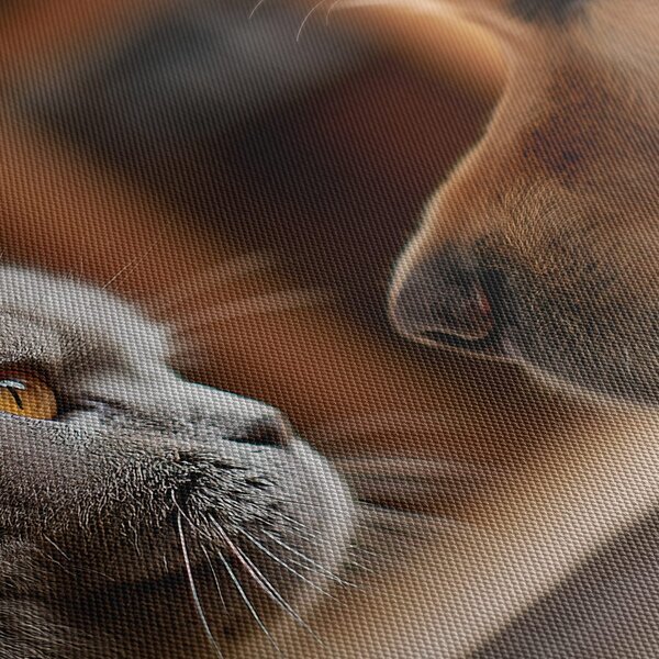 Quadro su tela – Sguardo felino e amicizia canina