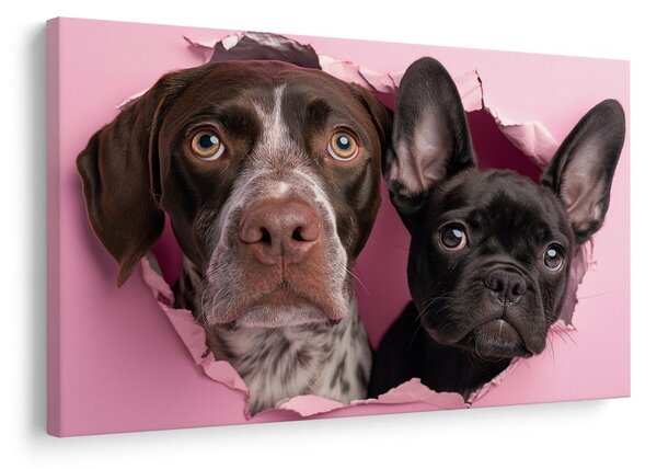 Quadro su tela – Curiosità canina in rosa