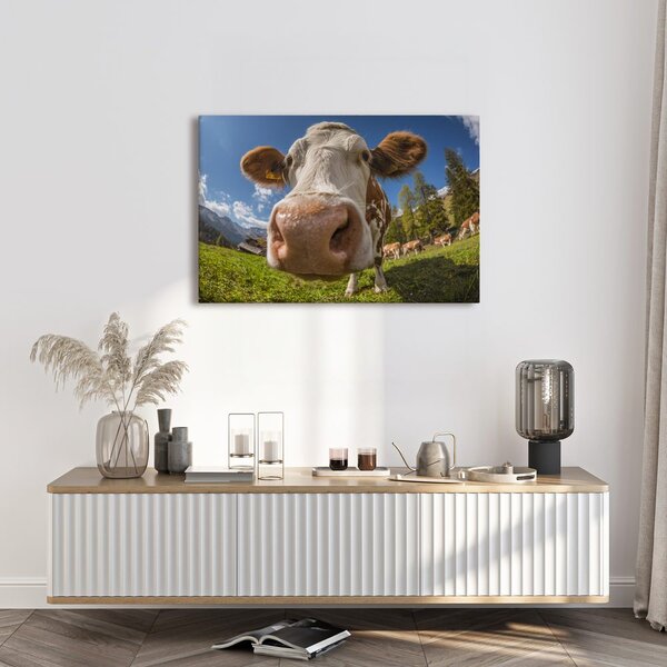 Quadro su tela – Mucca nella natura montana