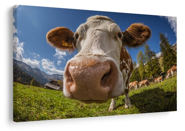 Quadro su tela – Mucca nella natura montana