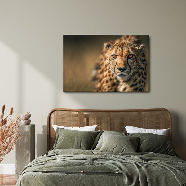 Quadro su tela – Eleganza del ghepardo africano