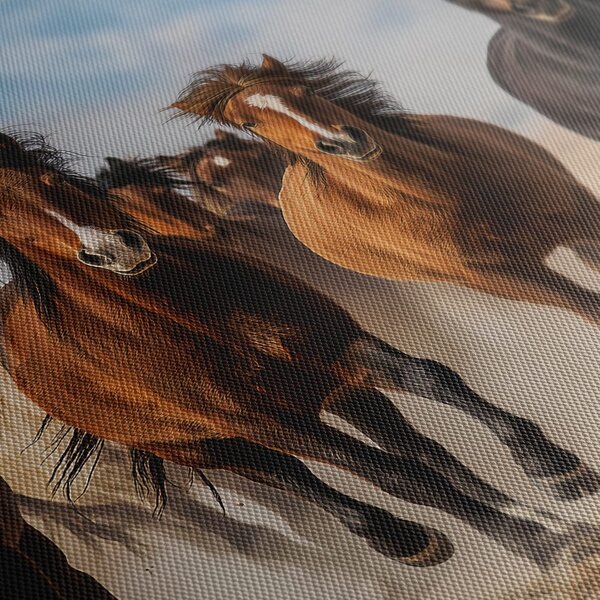 Quadro su tela – Mandria di cavalli in movimento