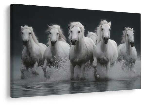 Quadro su tela – Cavalli bianchi in movimento