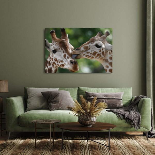 Quadro su tela – Tenero tocco di giraffe