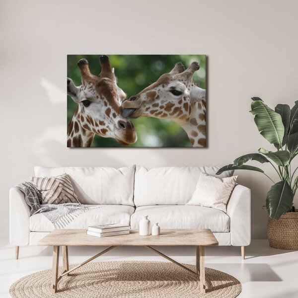 Quadro su tela – Tenero tocco di giraffe