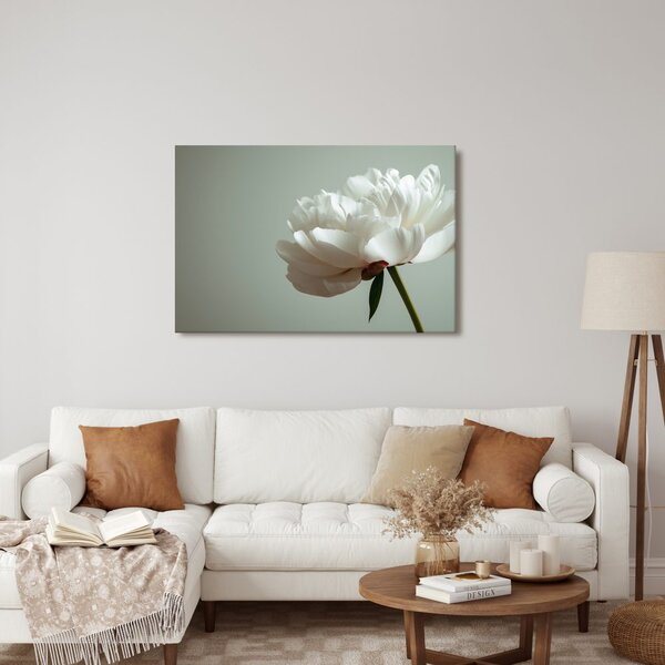 Quadro su tela – Delicata peonia bianca