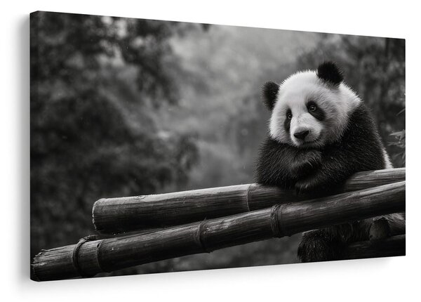 Quadro su tela – Panda che riposa sul bambù