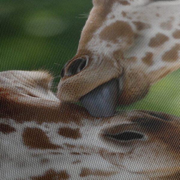 Quadro su tela – Tenero tocco di giraffe