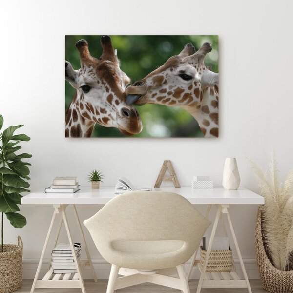 Quadro su tela – Tenero tocco di giraffe