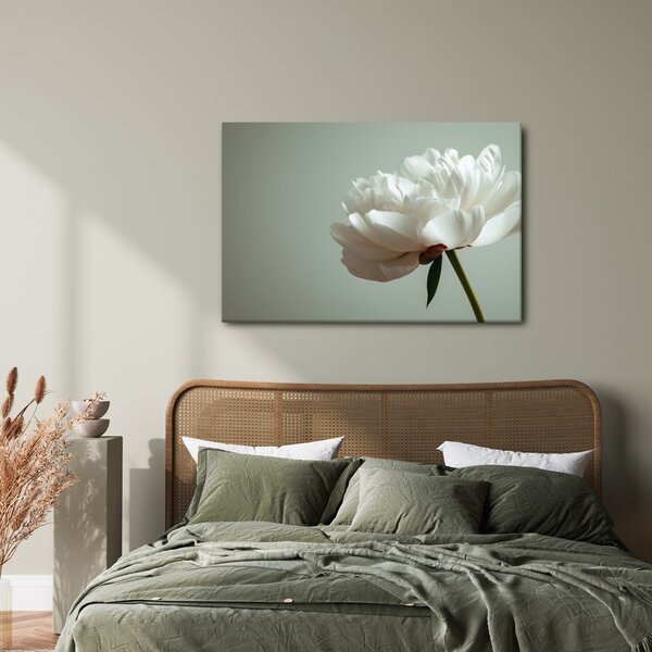 Quadro su tela – Delicata peonia bianca