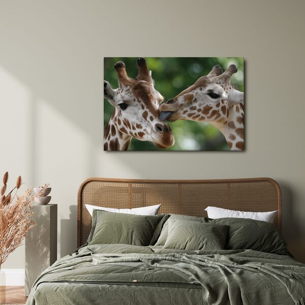 Quadro su tela – Tenero tocco di giraffe