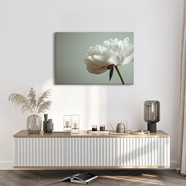 Quadro su tela – Delicata peonia bianca