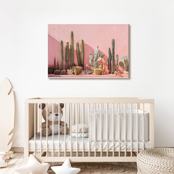 Quadro su tela – Cactus su muro rosa