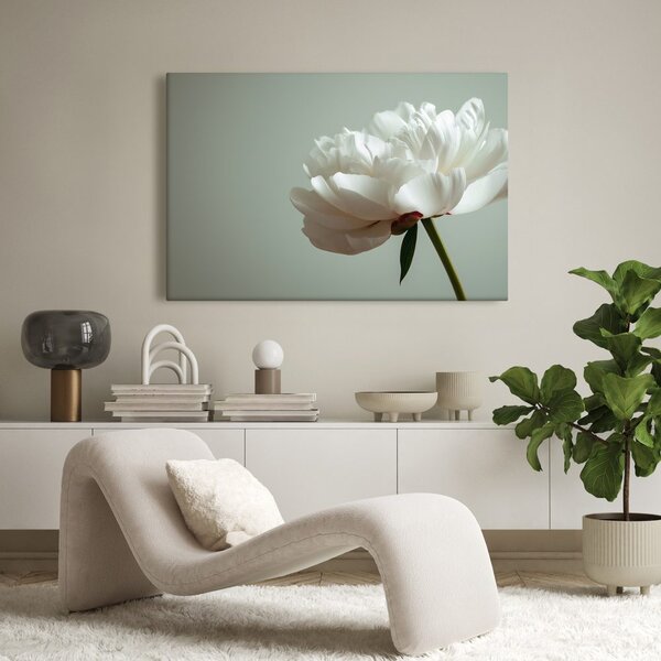 Quadro su tela – Delicata peonia bianca