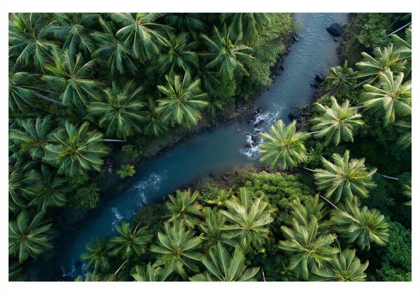 Quadro su tela – Fiume tropicale nella giungla