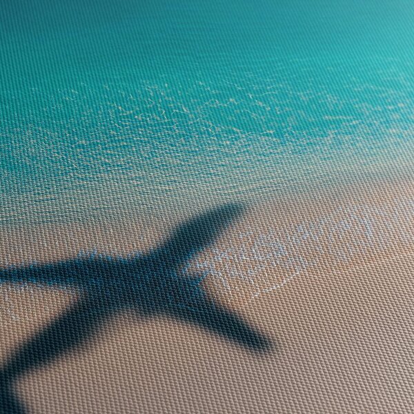 Quadro su tela – Spiaggia e ombra di un aereo