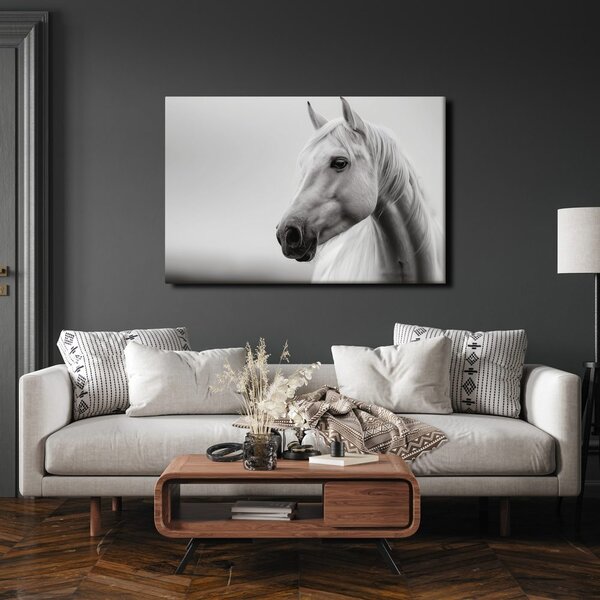 Quadro su tela – Cavallo bianco nella nebbia