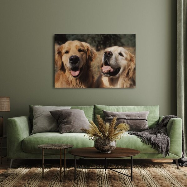 Quadro su tela – Volti felici di cani