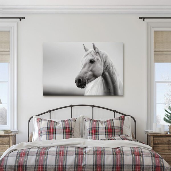 Quadro su tela – Cavallo bianco nella nebbia