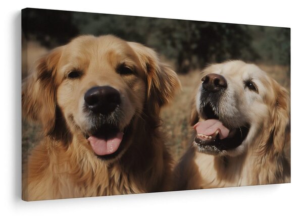 Quadro su tela – Volti felici di cani