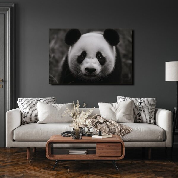 Quadro su tela – Panda carina nella natura