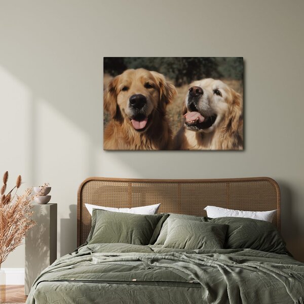 Quadro su tela – Volti felici di cani