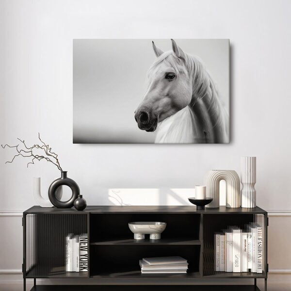 Quadro su tela – Cavallo bianco nella nebbia