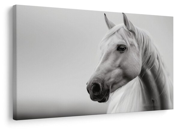 Quadro su tela – Cavallo bianco nella nebbia